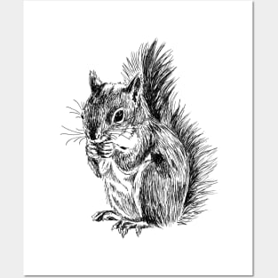 Cute Squirrel Print Posters and Art